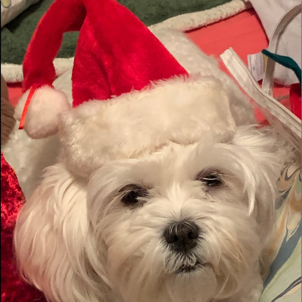 Meet your Posher, Karen